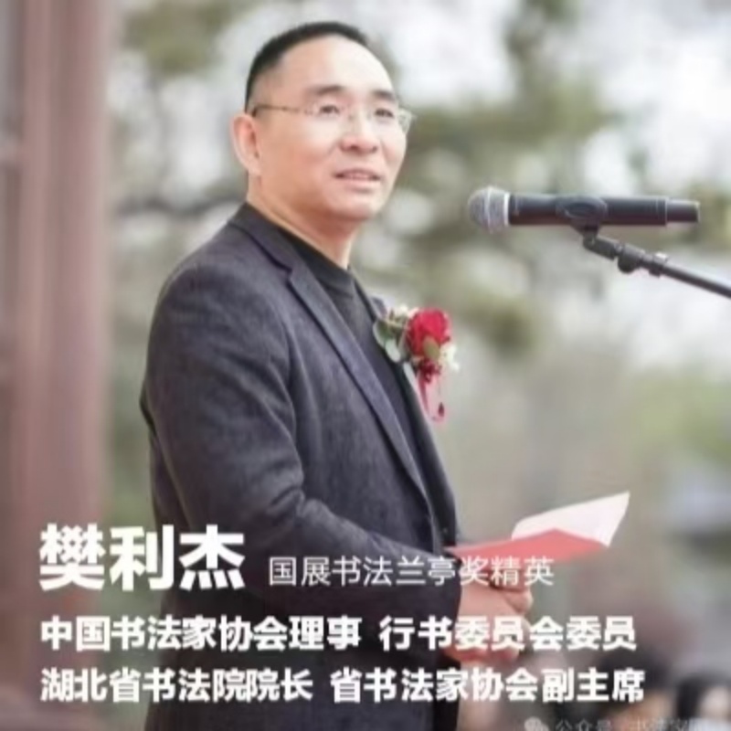 祝贺中书协理事樊利杰出任湖北省书法院院长